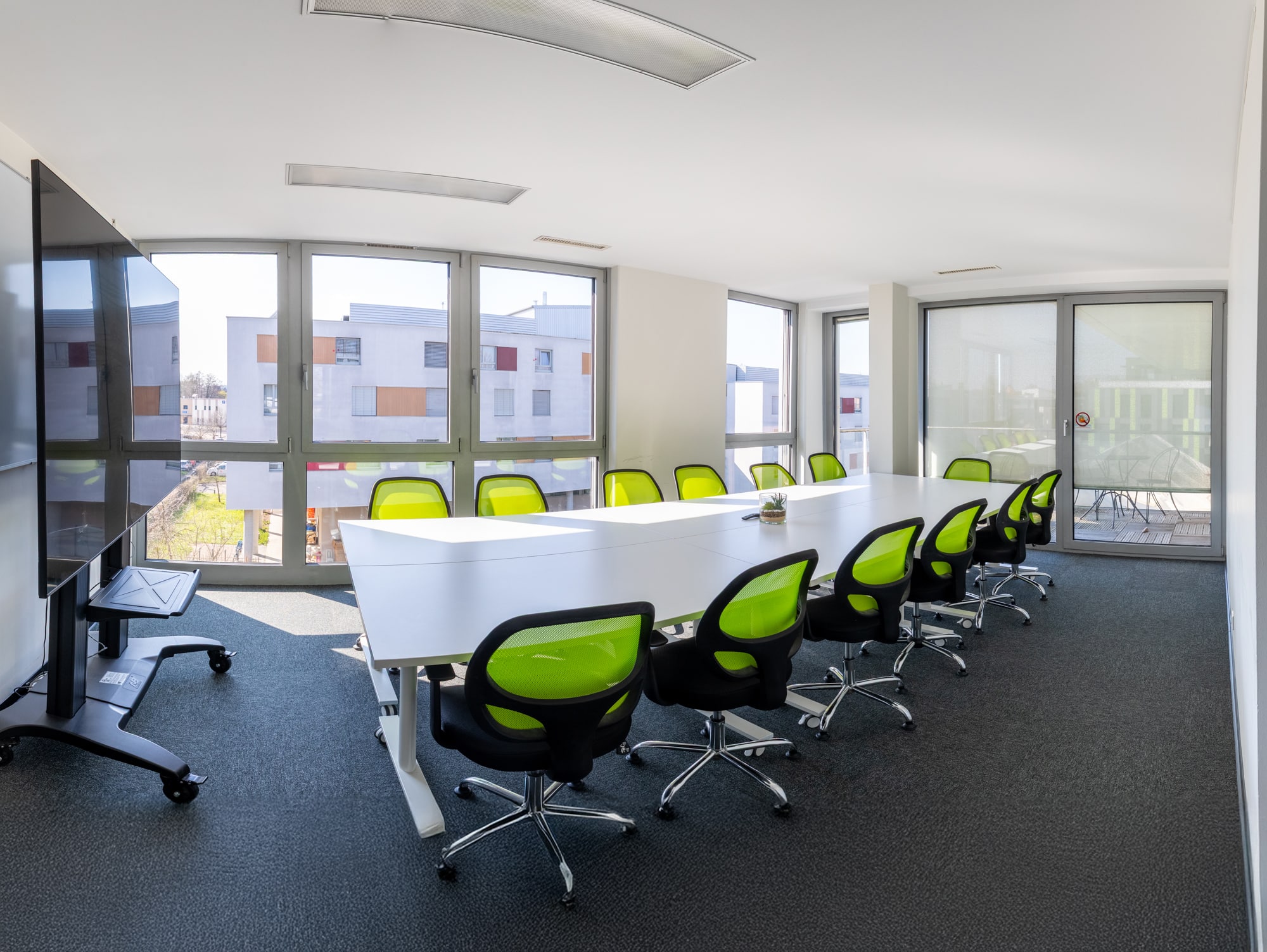 31m²