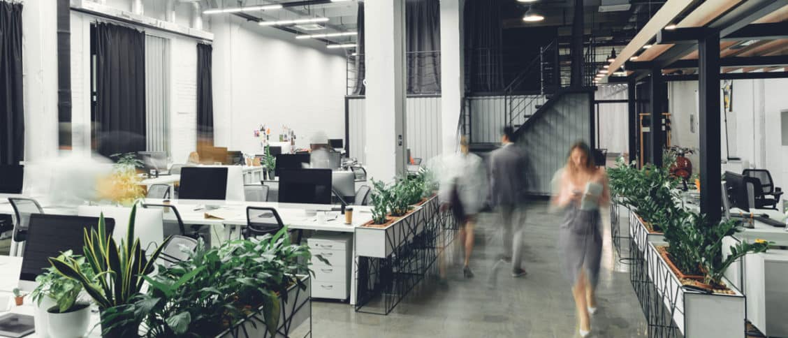 Zoom sur des bureaux professionnels